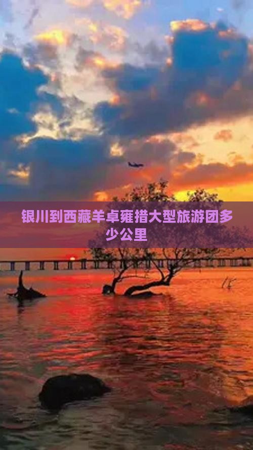 银川到西藏羊卓雍措大型旅游团