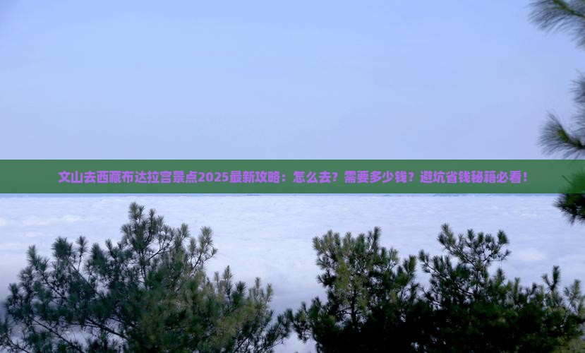 文山去西藏布达拉宫景点