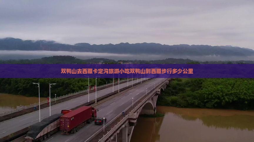 双鸭山去西藏卡定沟旅游小吃