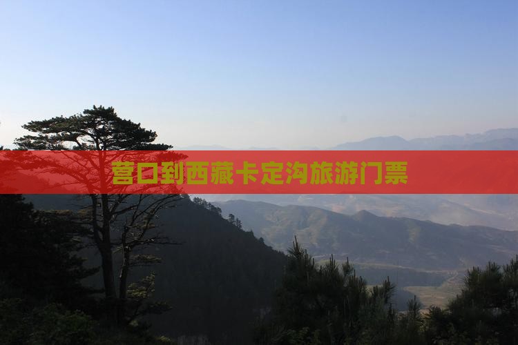 营口到西藏卡定沟门票
