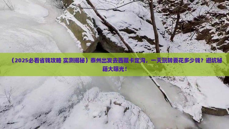 泰州到西藏卡定沟一日