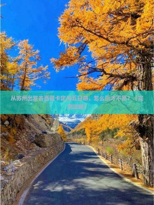 苏州去西藏卡定沟五日游