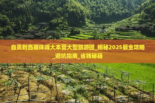 自贡到西藏珠峰大本营大型旅游团