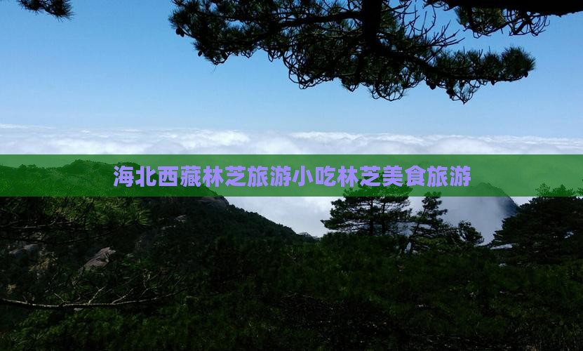 海北去西藏林芝旅游小吃