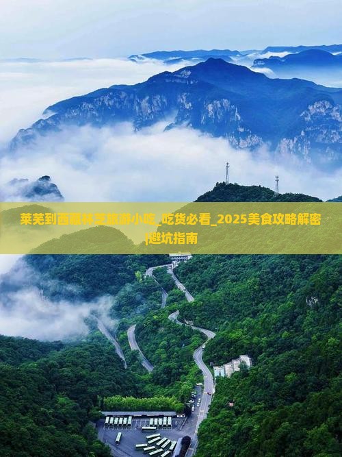 莱芜到西藏林芝旅游小吃