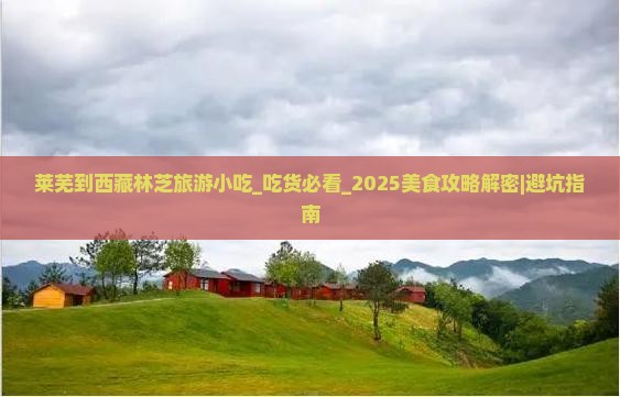 莱芜到西藏林芝旅游小吃