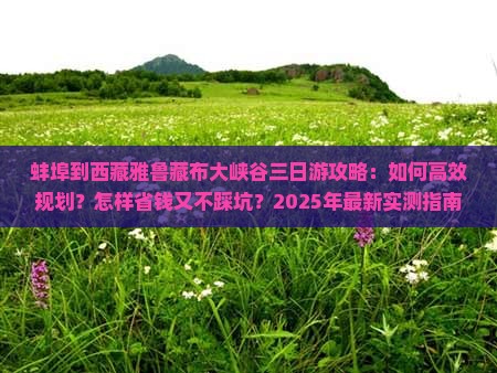蚌埠到西藏雅鲁藏布大峡谷三日游