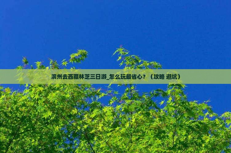 滨州去西藏林芝三日游