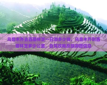 乌鲁木齐去西藏林芝一日