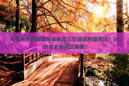 乌鲁木齐到西藏羊卓雍措三日游 乌鲁木齐到西藏羊卓雍措三日游