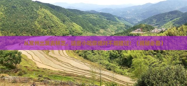 常州去西藏林芝旅游小吃