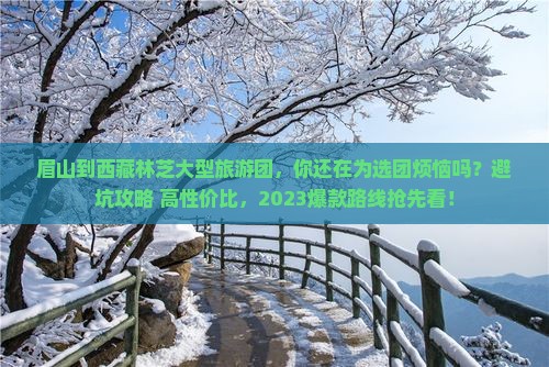眉山到西藏林芝大型旅游团