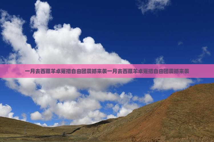 一月去西藏羊卓雍措自由团