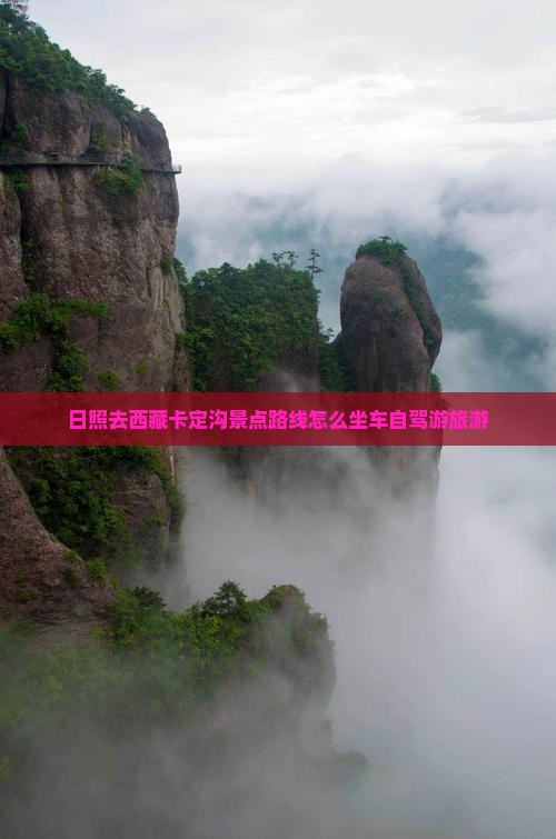 日照去西藏卡定沟景点