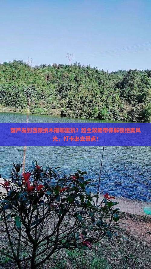 葫芦岛到西藏纳木措哪里玩