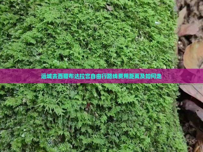 运城去西藏布达拉宫自由行