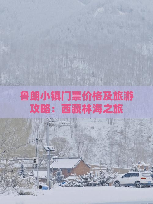 果洛到西藏鲁朗小镇门票