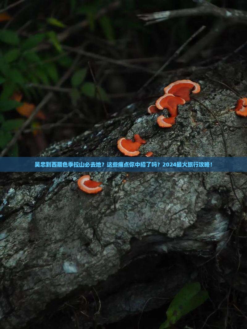 吴忠到西藏色季拉山必去地