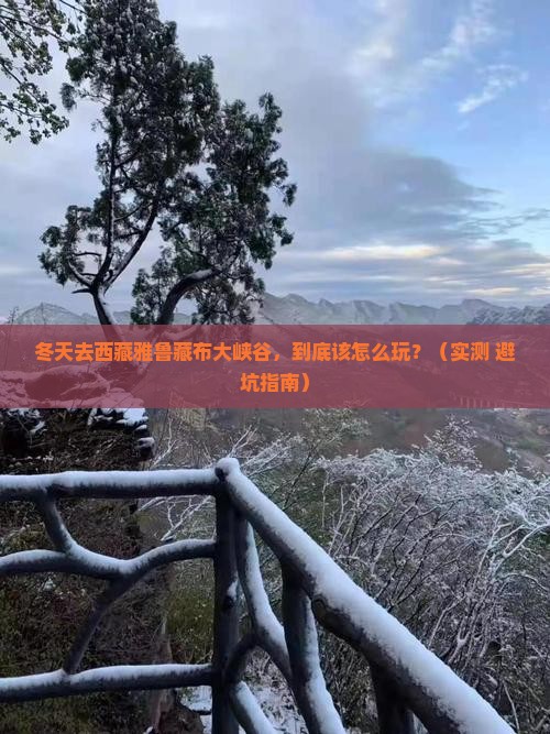 冬天去西藏雅鲁藏布大峡谷哪里玩
