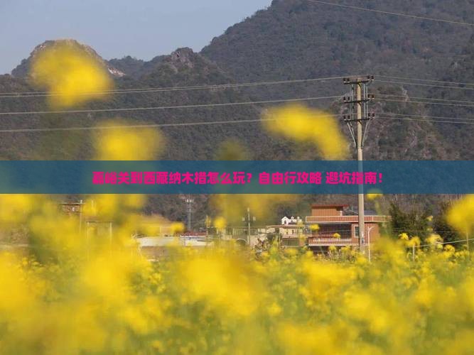 嘉峪关到西藏纳木措个人游