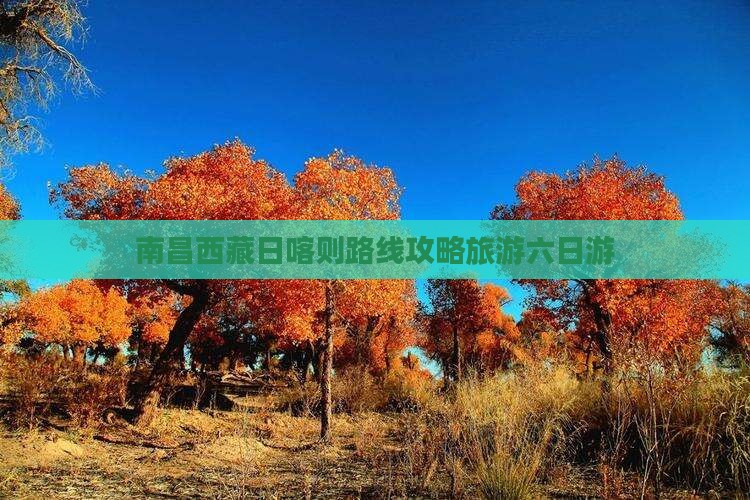 南昌去西藏日喀则六日游