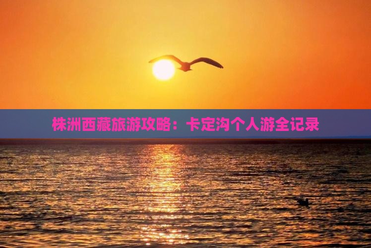 株洲去西藏卡定沟个人游