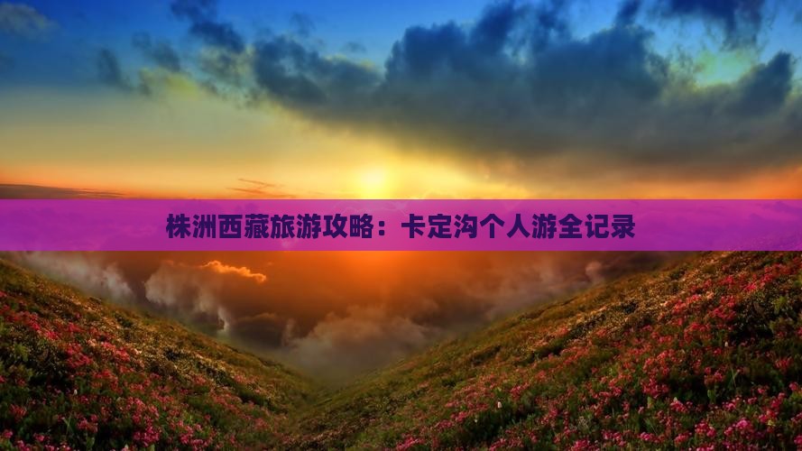 株洲去西藏卡定沟个人游