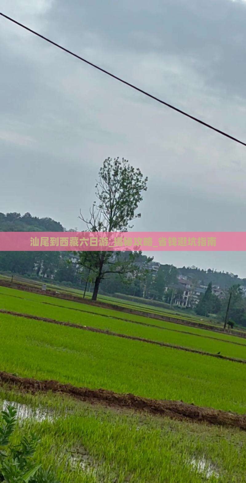 汕尾到西藏六日游