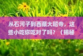 石河子去西藏大昭寺旅游小吃