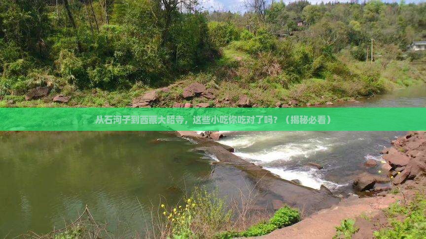 石河子去西藏大昭寺旅游小吃