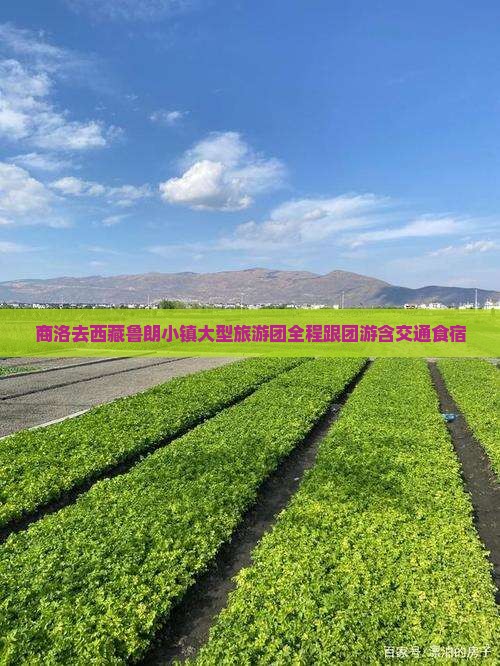 商洛去西藏鲁朗小镇大型旅游团