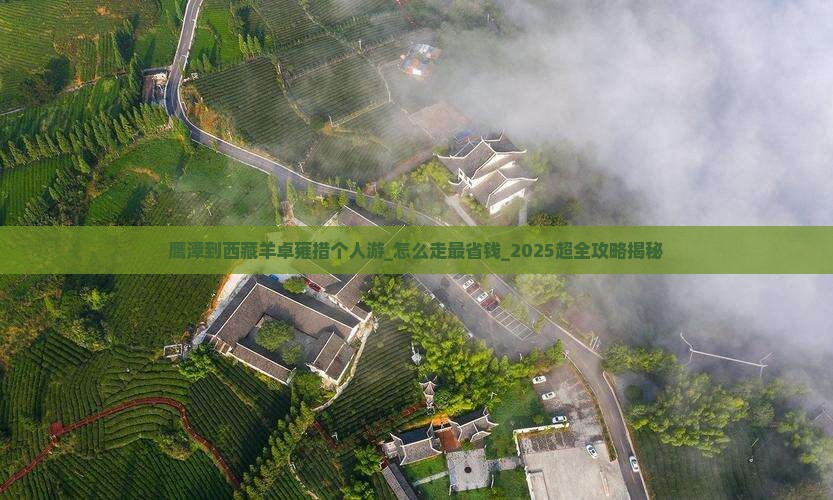 鹰潭到西藏羊卓雍措个人游