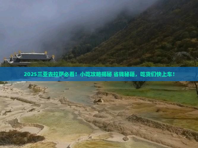 三亚去西藏拉萨旅游小吃