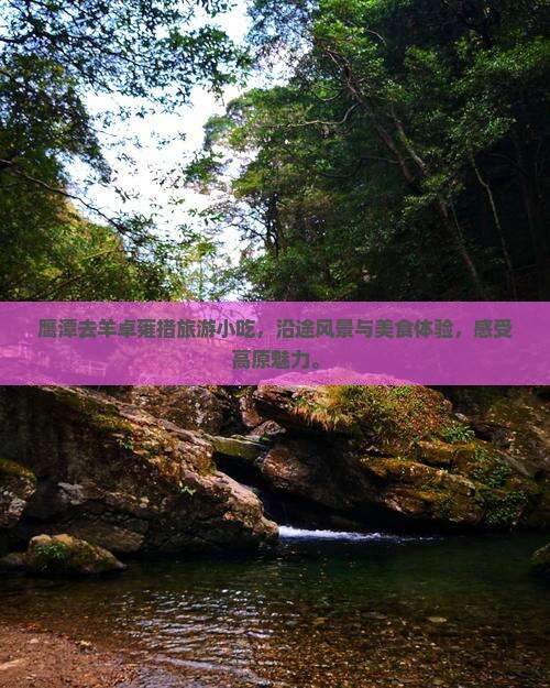 鹰潭去西藏羊卓雍措旅游小吃