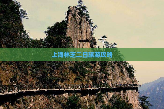 上海去西藏林芝二日游