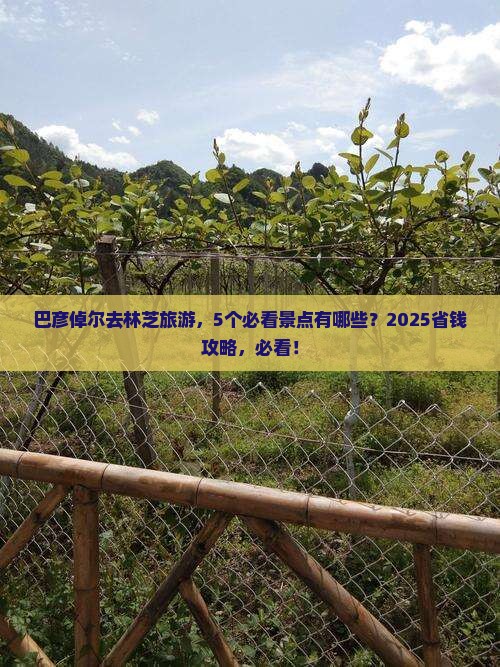 巴彦倬尔到西藏林芝景点