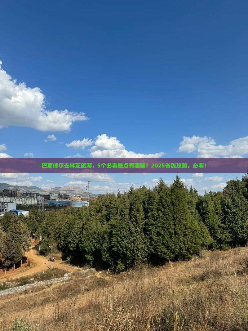 巴彦倬尔到西藏林芝景点