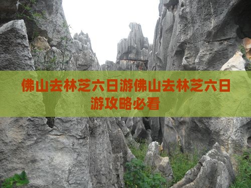 佛山去西藏林芝六日游