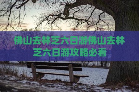 佛山去西藏林芝六日游