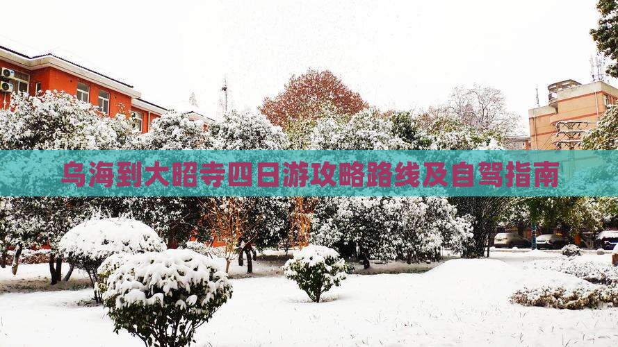 乌海到西藏大昭寺四日游