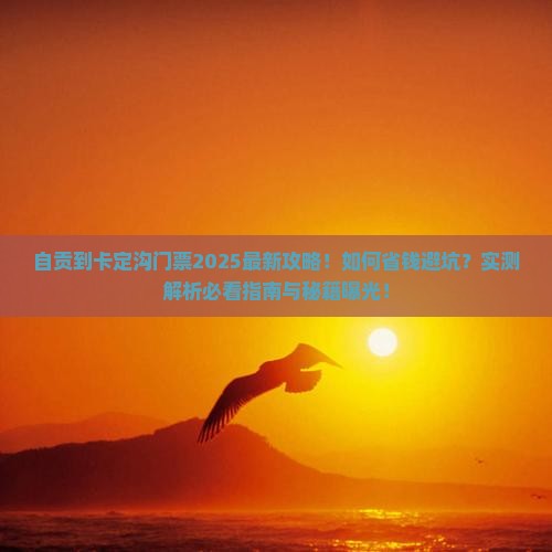 自贡到西藏卡定沟门票