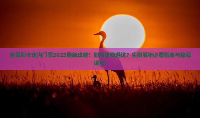 自贡到西藏卡定沟门票