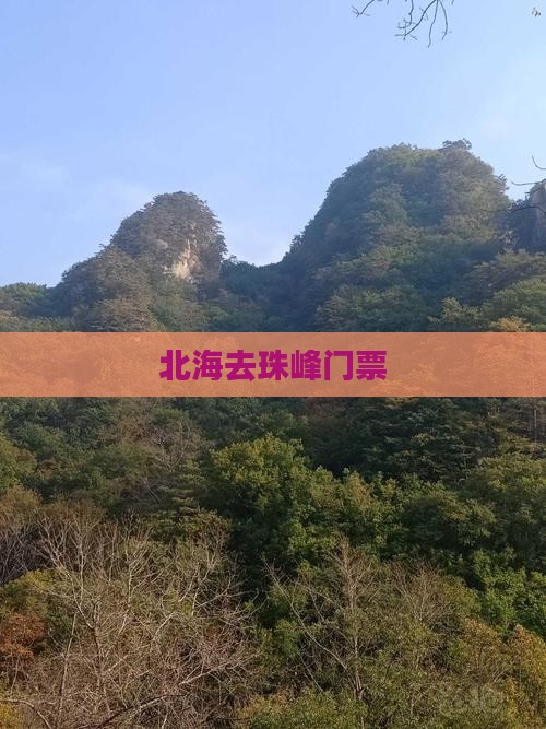 北海去西藏珠峰大本营门票 北海去西藏珠峰大本营门票