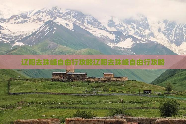 辽阳去西藏珠峰大本营自由行