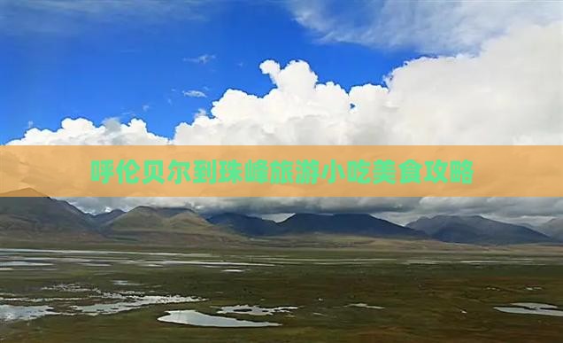呼伦贝尔到西藏珠峰大本营旅游小吃 呼伦贝尔到西藏珠峰大本营旅游小吃