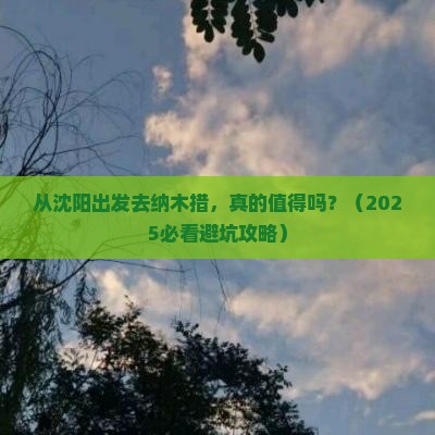 沈阳去西藏纳木措旅游