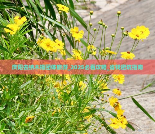 庆阳去西藏纳木措团体旅游
