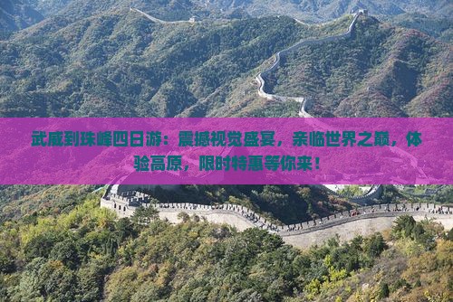 武威到西藏珠峰大本营四日游