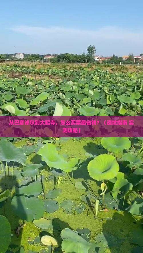 巴彦淖尔到西藏大昭寺门票