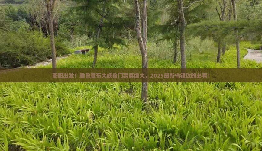 衡阳到西藏雅鲁藏布大峡谷门票